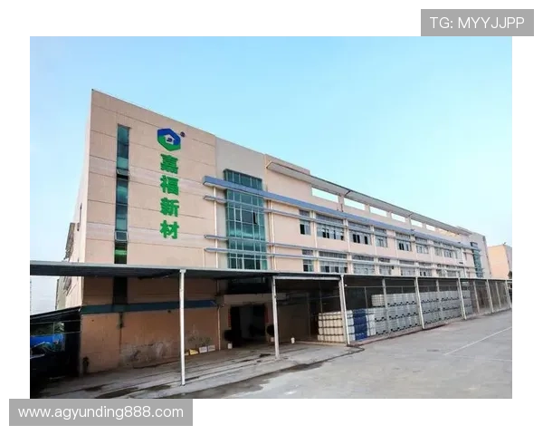 访问4008云顶集团网址的最佳途径，确保账号信息安全的官方链接